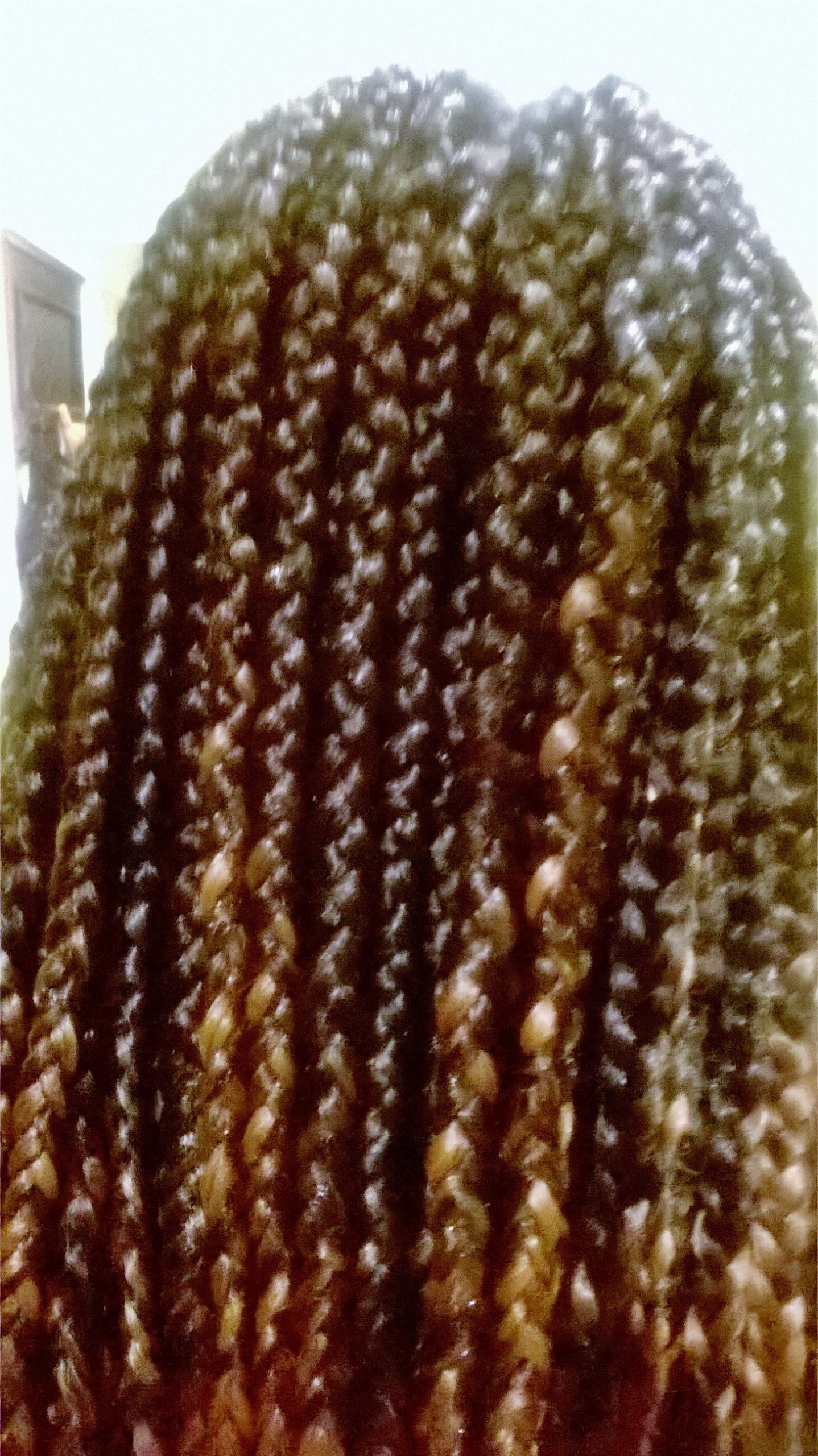 SOPHIA B AFRO-CARIBBEAN HAIR GENIE