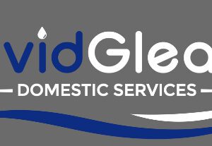 VividGleam Domestic service